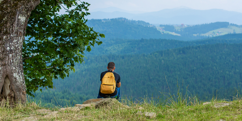 Man enjoying mountain view